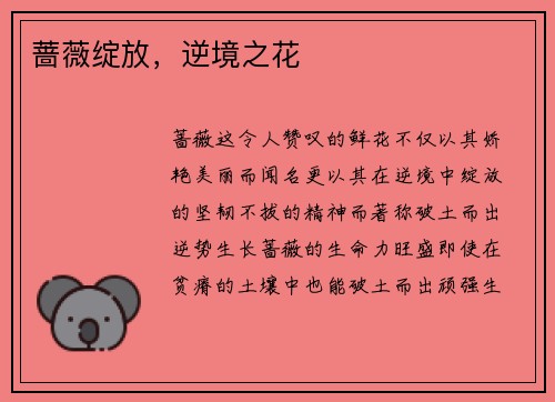 蔷薇绽放，逆境之花